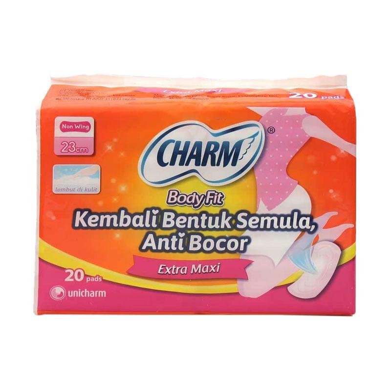 Sanitary Napkin